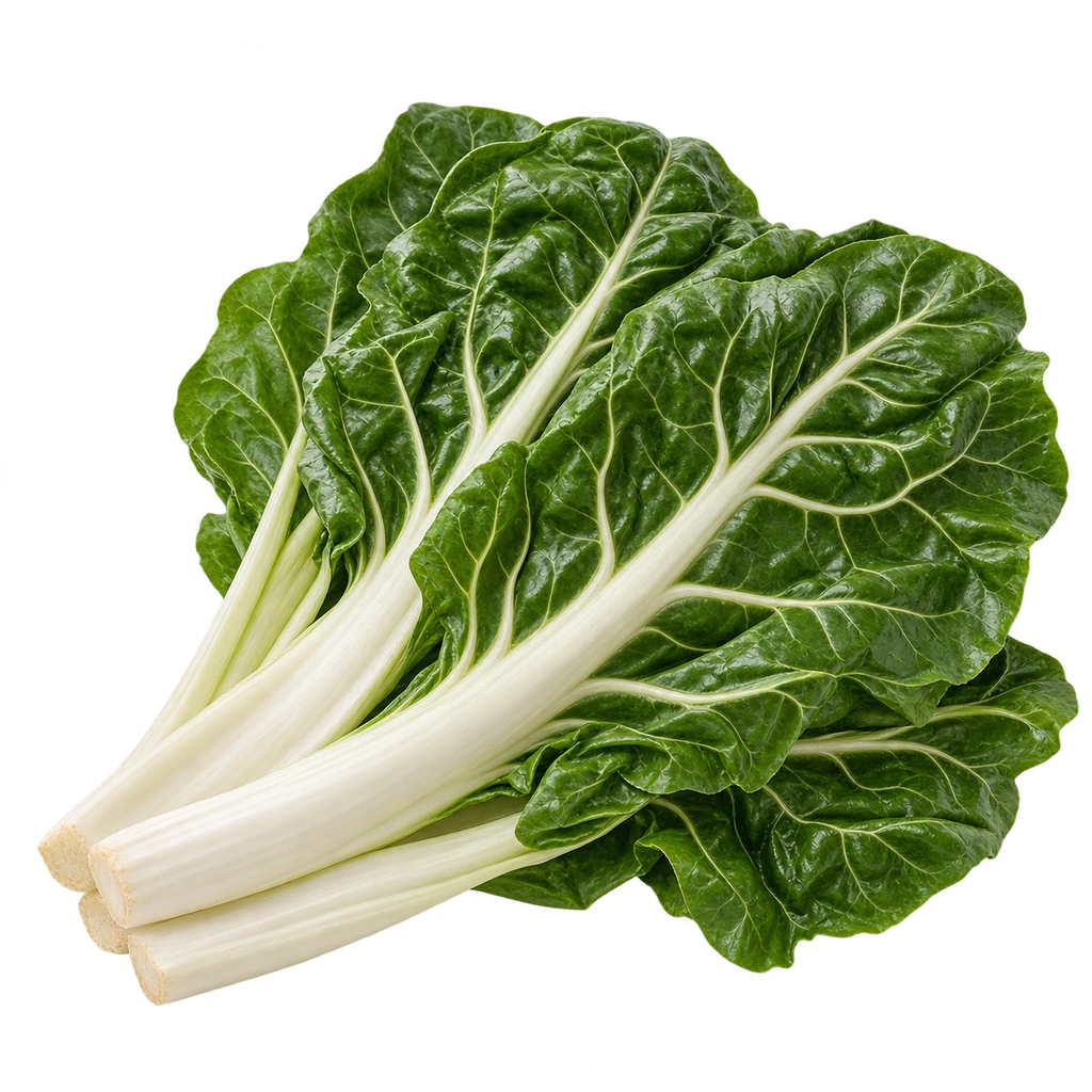 Acelga